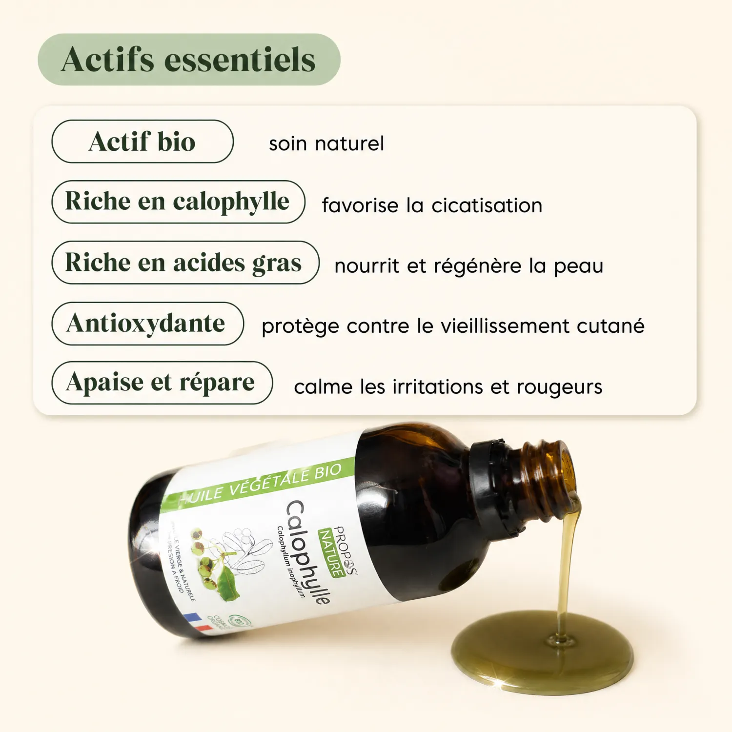 Huile Calophylle Bio Propos'Nature actifs cicatrisants et régénérants