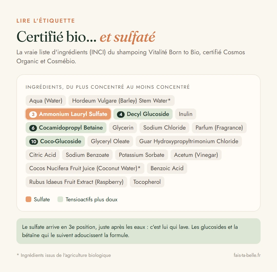 Liste d'ingrédients du shampoing Vitalité Born to Bio avec l'Ammonium Lauryl Sulfate surligné en troisième position